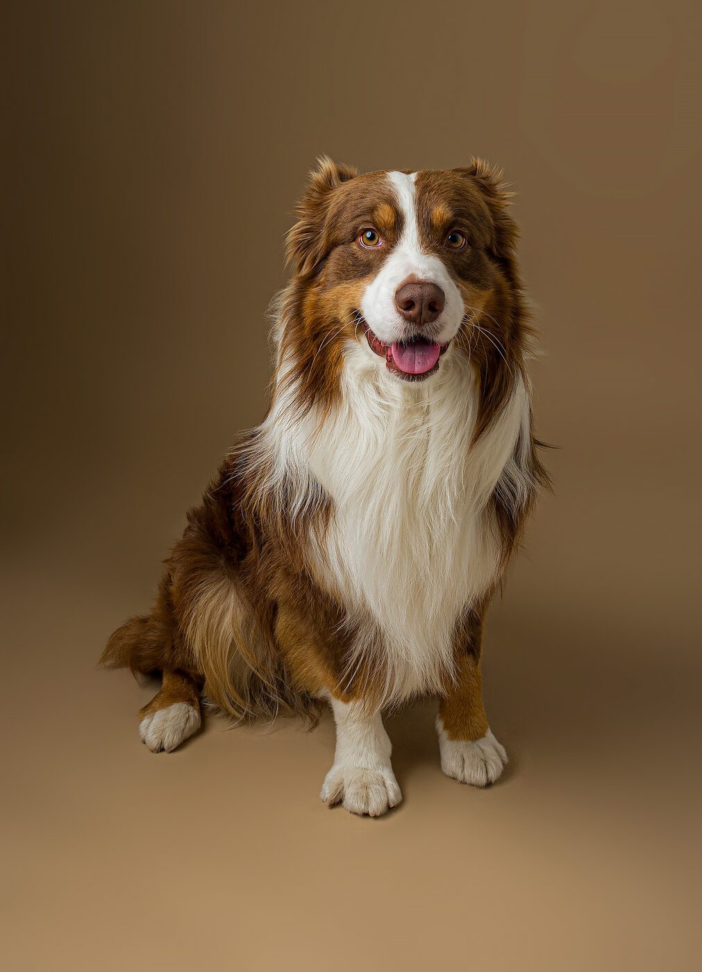 Sessione famiglia e cane all'aperto, parco Brescia — Metelli Photography