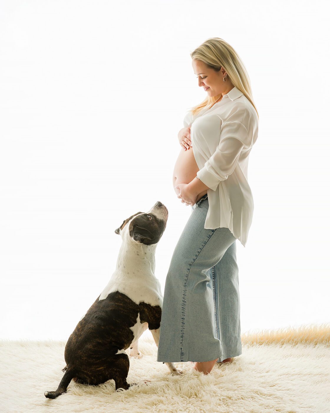 Gatto ritratto in luce soffusa — fotografia felina Brescia